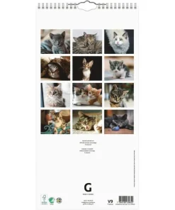 Familjekalender 2026 Katter
