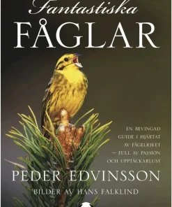 Fantastiska fåglar : en bevingad guide i hjärtat av fågelriket - full av passion och upptäckarlust
