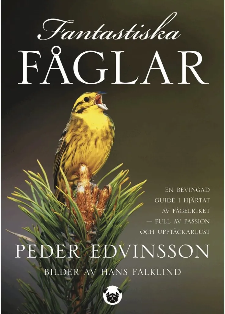 Fantastiska fåglar : en bevingad guide i hjärtat av fågelriket - full av passion och upptäckarlust
