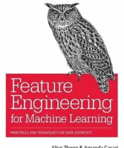 Feature Engineering for Machine Learning