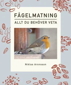 Fågelmatning : allt du behöver veta
