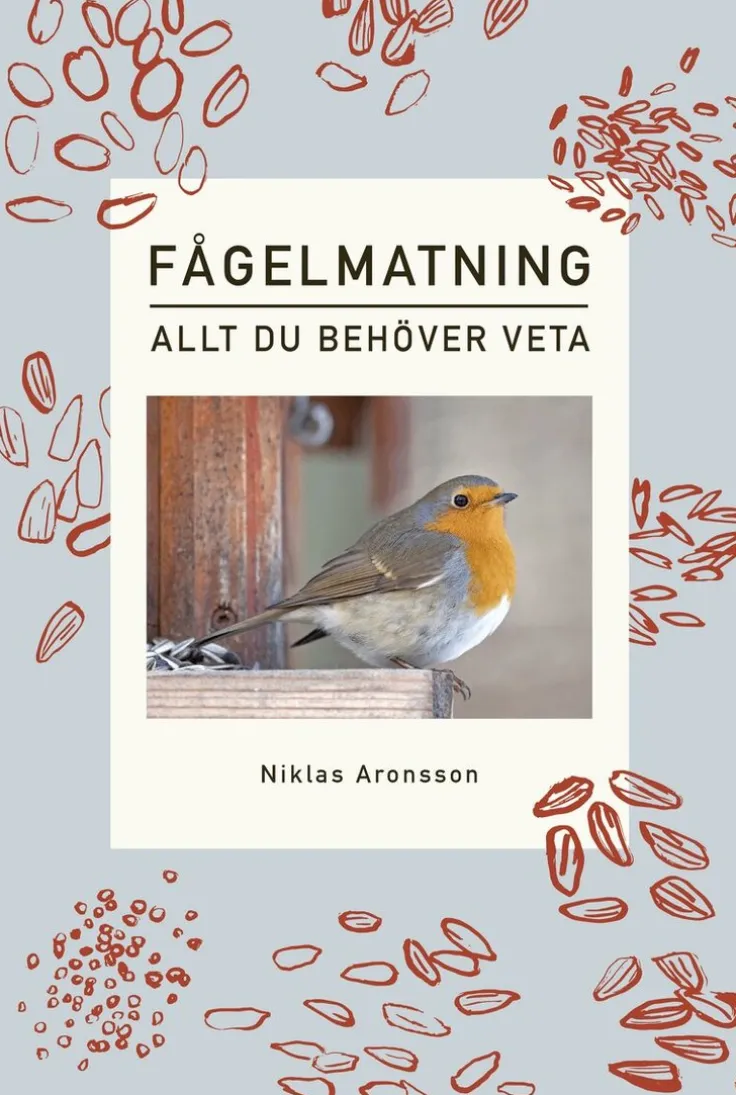 Fågelmatning : allt du behöver veta