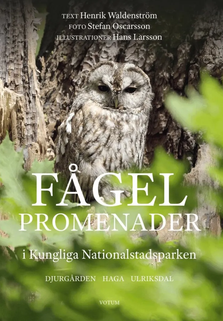 Fågelpromenader i Kungliga nationalstadsparken
