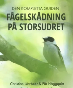 Fågelskådning på Storsudret
