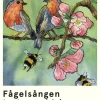 Fågelsången tystnar aldrig