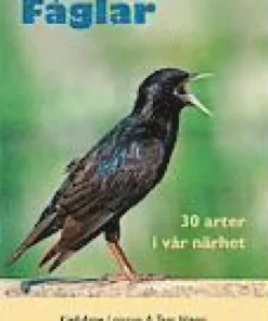 Fåglar : 30 arter i vår närhet