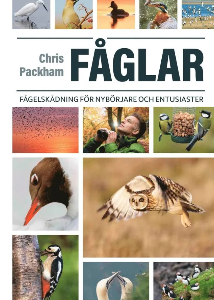 Fåglar : fågelskådning för nybörjare och entusiaster
