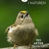 Fåglar i naturen : 153 arter, guide till fåglar nära dig