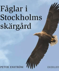 Fåglar i Stockholms skärgård