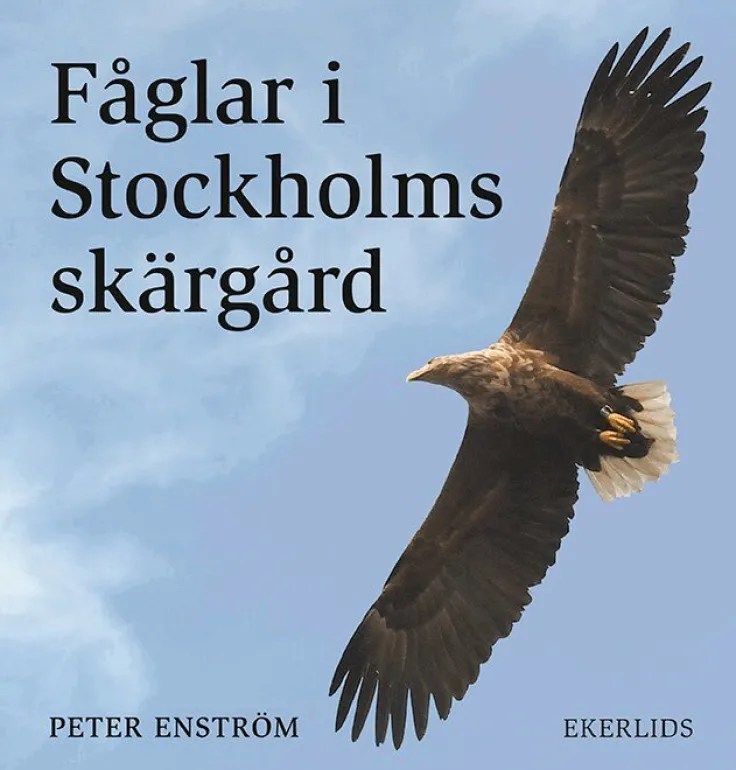Fåglar i Stockholms skärgård