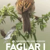 Fåglar i Sverige och Norden : fälthandbok för alla