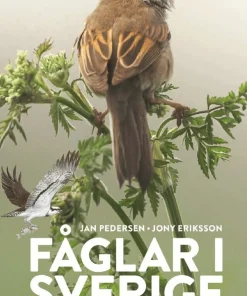 Fåglar i Sverige och Norden : fälthandbok för alla