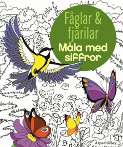 Fåglar och fjärilar : måla med siffror
