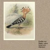 Fåglar och människor : essäer om fåglar i natur, konst och litteratur