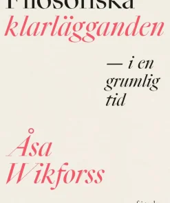 Filosofiska klarlägganden i en grumlig tid