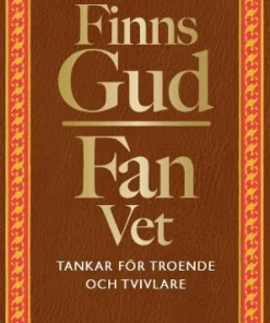 Finns Gud - Fan vet : tankar för troende och tvivlare