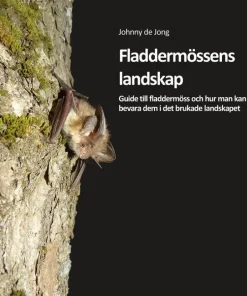 Fladdermössens landskap