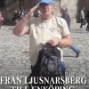 Från Ljusnarsberg till Enköping : en resa mot tillfrisknande
