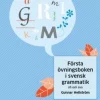 Första övningsboken i svensk grammatik