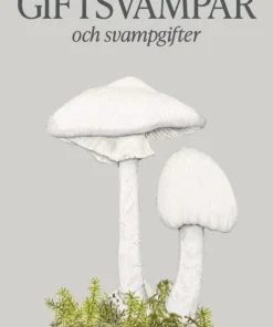 Giftsvampar och svampgifter