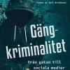 Gängkriminalitet : Från gatan till sociala medier