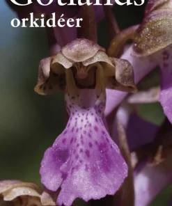 Gotlands orkidéer