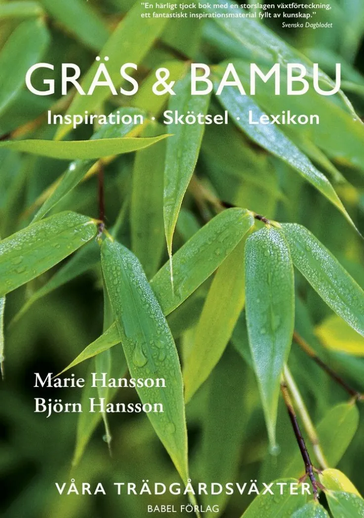 Gräs & bambu : inspiration - skötsel - lexikon