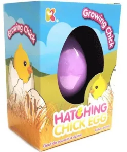 Hatching Chick Eggs