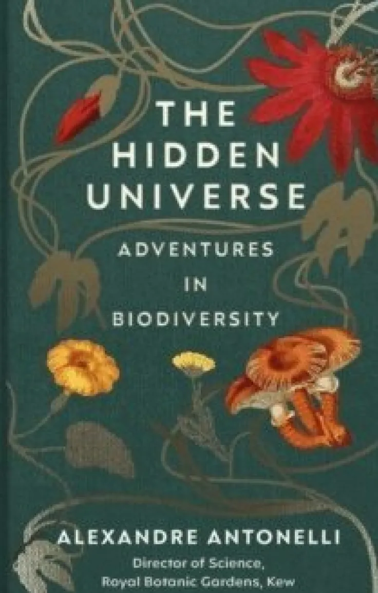 Hidden Universe