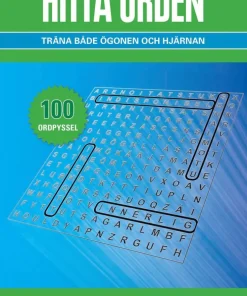 Hitta orden : 100 pyssel