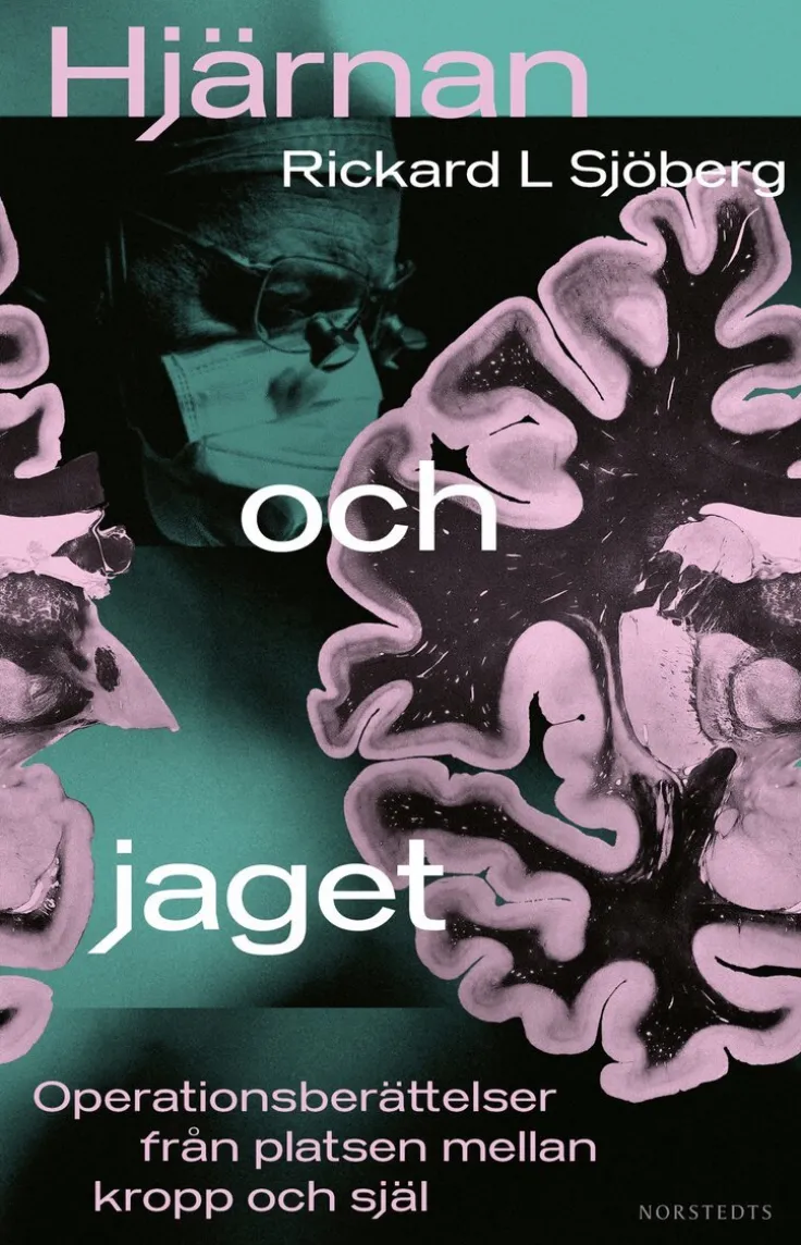 Hjärnan och jaget : operationsberättelser från platsen mellan kropp och själ