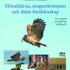 Hönshjärna, magnetkompass och delat föräldraskap