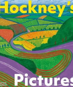 Hockney's Pictures