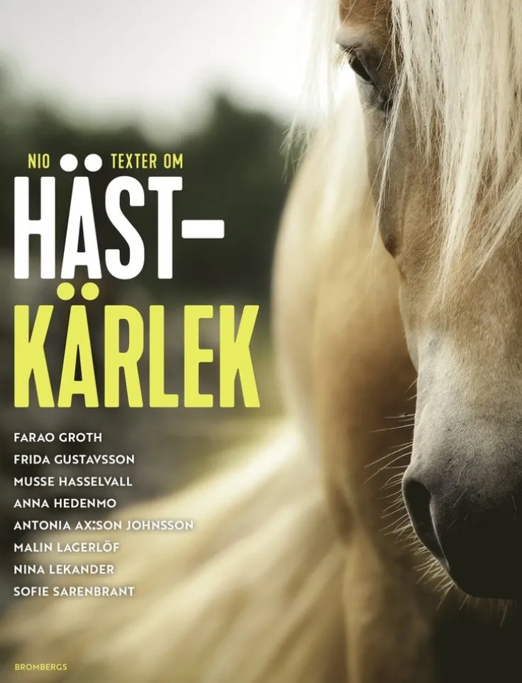 Hästkärlek
