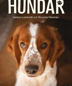 Hundar