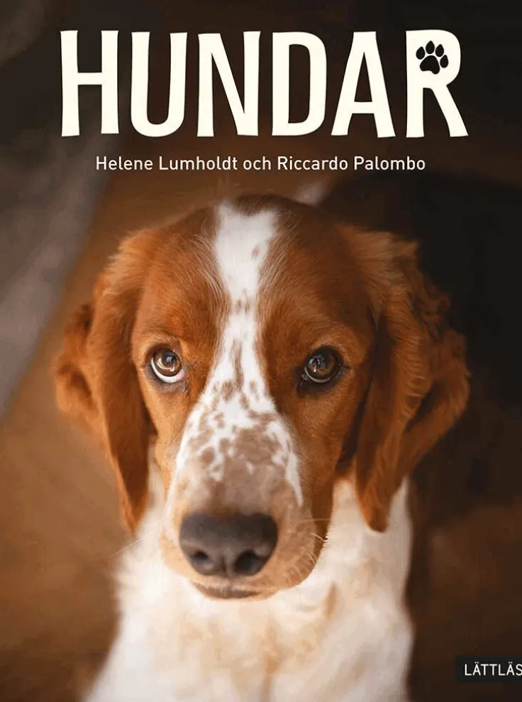Hundar