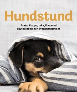 Hundstund : prata, klappa, leka, läka med oxytocinbomben i vardagsrummet