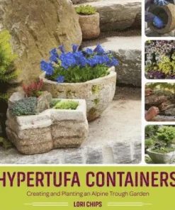 Hypertufa Containers
