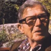 I tosaforornas värld : Gustav berättar