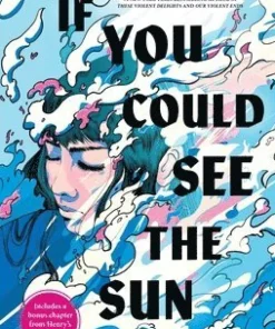 If You Could See the Sun