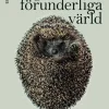 Igelkottens förunderliga värld