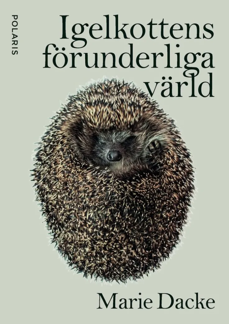 Igelkottens förunderliga värld