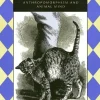 Images of Animals