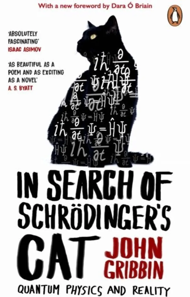 In Search Of Schrodinger's Cat