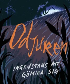 Ingenstans att gömma sig