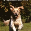 Inkallning! : så får du en lyhörd hund