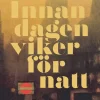 Innan dagen viker för natt