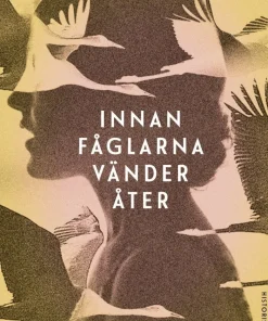 Innan fåglarna vänder åter