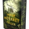Innan mörkret faller