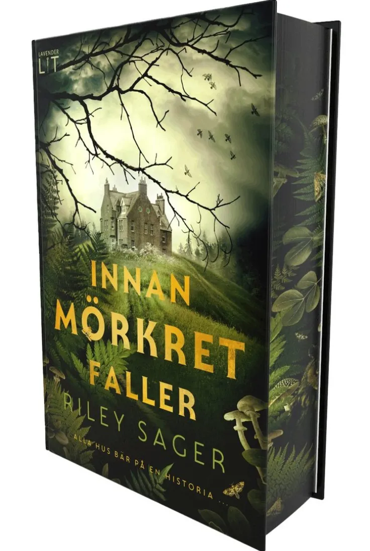 Innan mörkret faller